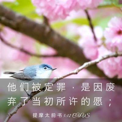 Picture 03 - 提 摩 太 前 书 5:12 CUVS - 他 们 被 定 罪 ， 是 因 废 弃 了 当 - Bible Verse Picture