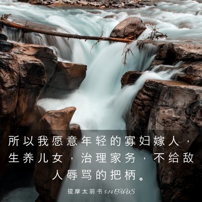 Picture 03 - 提 摩 太 前 书 5:14 CUVS - 所 以 我 愿 意 年 轻 的 寡 妇 嫁 人 - Bible Verse Picture