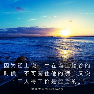 Picture 03 - 提 摩 太 前 书 5:18 CUVS - 因 为 经 上 说 ： 牛 在 场 上 踹 谷 - Bible Verse Picture