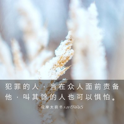 Picture 03 - 提 摩 太 前 书 5:20 CUVS - 犯 罪 的 人 ， 当 在 众 人 面 前 责 - Bible Verse Picture