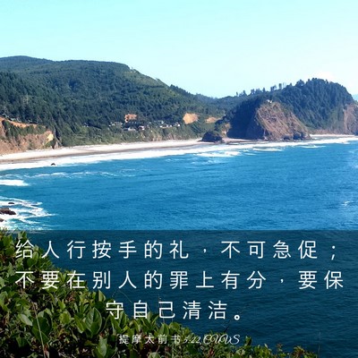 Picture 03 - 提 摩 太 前 书 5:22 CUVS - 给 人 行 按 手 的 礼 ， 不 可 急 促 - Bible Verse Picture
