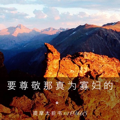 Picture 03 - 提 摩 太 前 书 5:3 CUVS - 要 尊 敬 那 真 为 寡 妇 的 - Bible Verse Picture