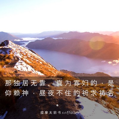Picture 03 - 提 摩 太 前 书 5:5 CUVS - 那 独 居 无 靠 、 真 为 寡 妇 的 ， - Bible Verse Picture