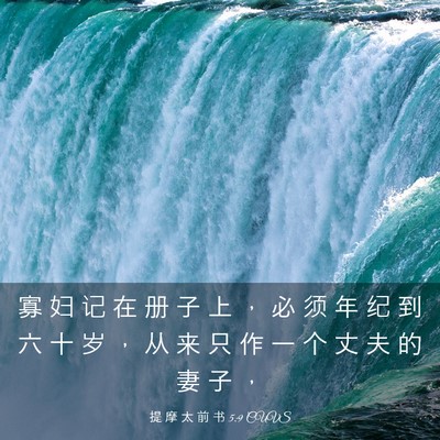 Picture 03 - 提 摩 太 前 书 5:9 CUVS - 寡 妇 记 在 册 子 上 ， 必 须 年 纪 - Bible Verse Picture