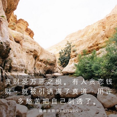 Picture 03 - 提 摩 太 前 书 6:10 CUVS - 贪 财 是 万 恶 之 根 。 有 人 贪 恋 - Bible Verse Picture