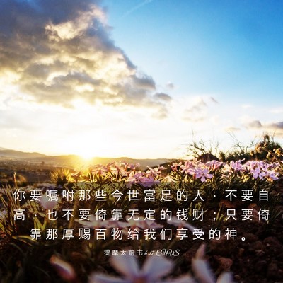Picture 03 - 提 摩 太 前 书 6:17 CUVS - 你 要 嘱 咐 那 些 今 世 富 足 的 人 - Bible Verse Picture
