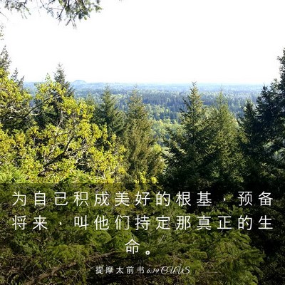 Picture 03 - 提 摩 太 前 书 6:19 CUVS - 为 自 己 积 成 美 好 的 根 基 ， 预 - Bible Verse Picture