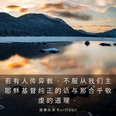 Picture 03 - 提 摩 太 前 书 6:3 CUVS - 若 有 人 传 异 教 ， 不 服 从 我 们 - Bible Verse Picture