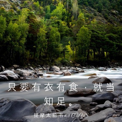 Picture 03 - 提 摩 太 前 书 6:8 CUVS - 只 要 有 衣 有 食 ， 就 当 知 足 - Bible Verse Picture
