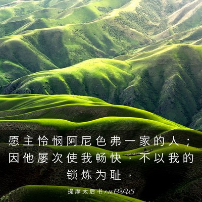 Picture 03 - 提 摩 太 后 书 1:16 CUVS - 愿 主 怜 悯 阿 尼 色 弗 一 家 的 人 - Bible Verse Picture