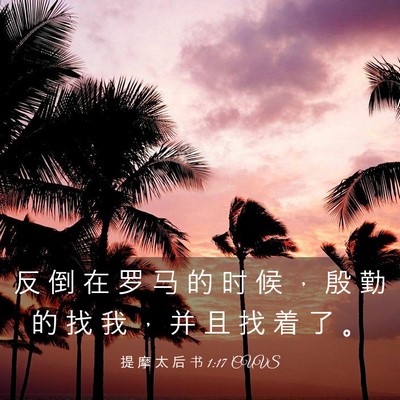 Picture 03 - 提 摩 太 后 书 1:17 CUVS - 反 倒 在 罗 马 的 时 候 ， 殷 勤 的 - Bible Verse Picture