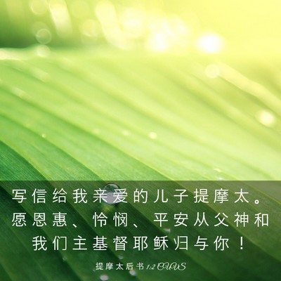 Picture 03 - 提 摩 太 后 书 1:2 CUVS - 写 信 给 我 亲 爱 的 儿 子 提 摩 太 - Bible Verse Picture