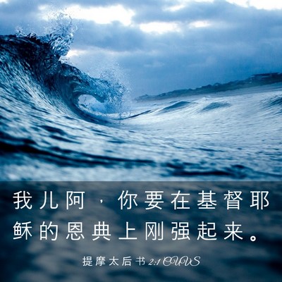 Picture 03 - 提 摩 太 后 书 2:1 CUVS - 我 儿 阿 ， 你 要 在 基 督 耶 稣 的 - Bible Verse Picture