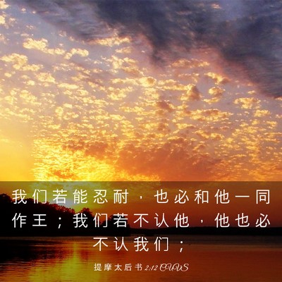 Picture 03 - 提 摩 太 后 书 2:12 CUVS - 我 们 若 能 忍 耐 ， 也 必 和 他 一 - Bible Verse Picture