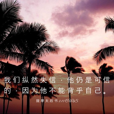 Picture 03 - 提 摩 太 后 书 2:13 CUVS - 我 们 纵 然 失 信 ， 他 仍 是 可 信 - Bible Verse Picture