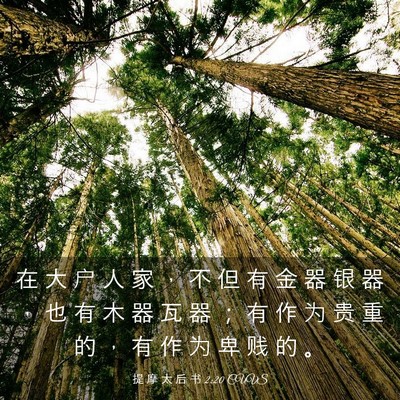 Picture 03 - 提 摩 太 后 书 2:20 CUVS - 在 大 户 人 家 ， 不 但 有 金 器 银 - Bible Verse Picture