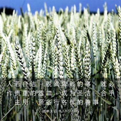 Picture 03 - 提 摩 太 后 书 2:21 CUVS - 人 若 自 洁 ， 脱 离 卑 贱 的 事 ， - Bible Verse Picture