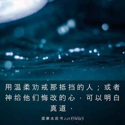 Picture 03 - 提 摩 太 后 书 2:25 CUVS - 用 温 柔 劝 戒 那 抵 挡 的 人 ； 或 - Bible Verse Picture