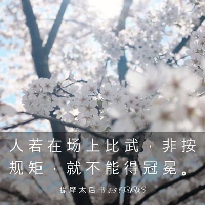 Picture 03 - 提 摩 太 后 书 2:5 CUVS - 人 若 在 场 上 比 武 ， 非 按 规 矩 - Bible Verse Picture