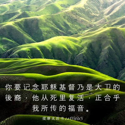 Picture 03 - 提 摩 太 后 书 2:8 CUVS - 你 要 记 念 耶 稣 基 督 乃 是 大 卫 - Bible Verse Picture