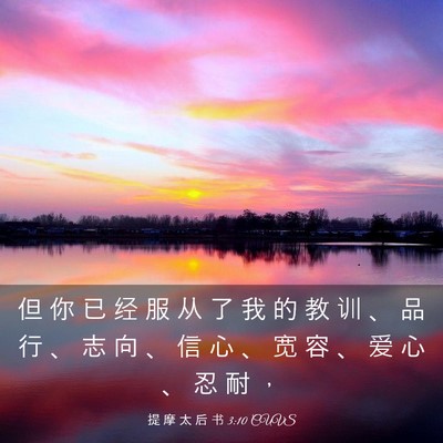 Picture 03 - 提 摩 太 后 书 3:10 CUVS - 但 你 已 经 服 从 了 我 的 教 训 、 - Bible Verse Picture