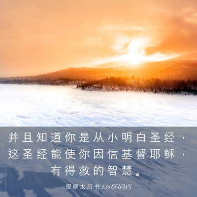 Picture 03 - 提 摩 太 后 书 3:15 CUVS - 并 且 知 道 你 是 从 小 明 白 圣 经 - Bible Verse Picture