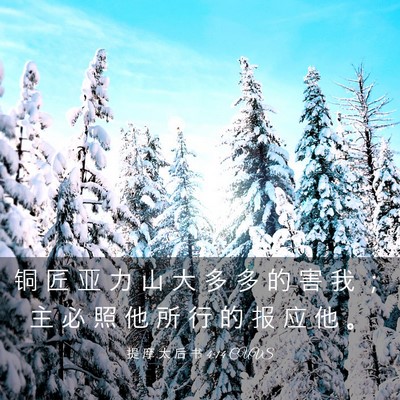 Picture 03 - 提 摩 太 后 书 4:14 CUVS - 铜 匠 亚 力 山 大 多 多 的 害 我 ； - Bible Verse Picture