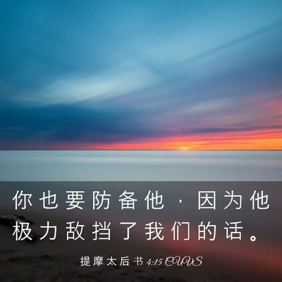 Picture 03 - 提 摩 太 后 书 4:15 CUVS - 你 也 要 防 备 他 ， 因 为 他 极 力 - Bible Verse Picture