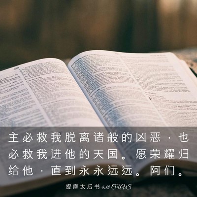 Picture 03 - 提 摩 太 后 书 4:18 CUVS - 主 必 救 我 脱 离 诸 般 的 凶 恶 ， - Bible Verse Picture