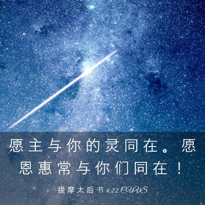 Picture 03 - 提 摩 太 后 书 4:22 CUVS - 愿 主 与 你 的 灵 同 在 。 愿 恩 惠 - Bible Verse Picture