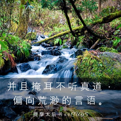 Picture 03 - 提 摩 太 后 书 4:4 CUVS - 并 且 掩 耳 不 听 真 道 ， 偏 向 荒 - Bible Verse Picture