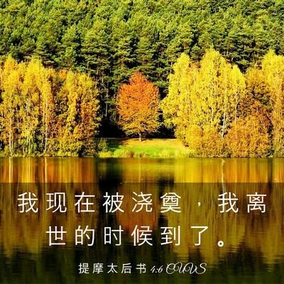 Picture 03 - 提 摩 太 后 书 4:6 CUVS - 我 现 在 被 浇 奠 ， 我 离 世 的 时 - Bible Verse Picture