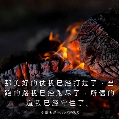 Picture 03 - 提 摩 太 后 书 4:7 CUVS - 那 美 好 的 仗 我 已 经 打 过 了 ， - Bible Verse Picture