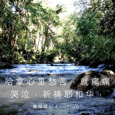 Picture 03 - 撒 母 耳 记 上 1:10 CUVS - 哈 拿 心 里 愁 苦 ， 就 痛 痛 哭 泣 - Bible Verse Picture