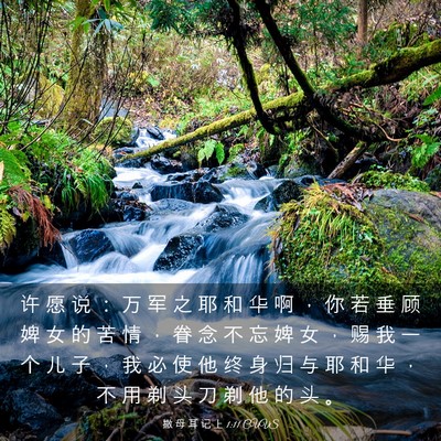 Picture 03 - 撒 母 耳 记 上 1:11 CUVS - 许 愿 说 ： 万 军 之 耶 和 华 啊 ， - Bible Verse Picture