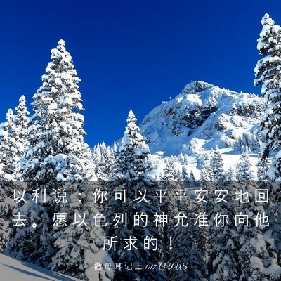 Picture 03 - 撒 母 耳 记 上 1:17 CUVS - 以 利 说 ： 你 可 以 平 平 安 安 地 - Bible Verse Picture