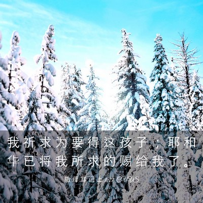 Picture 03 - 撒 母 耳 记 上 1:27 CUVS - 我 祈 求 为 要 得 这 孩 子 ； 耶 和 - Bible Verse Picture