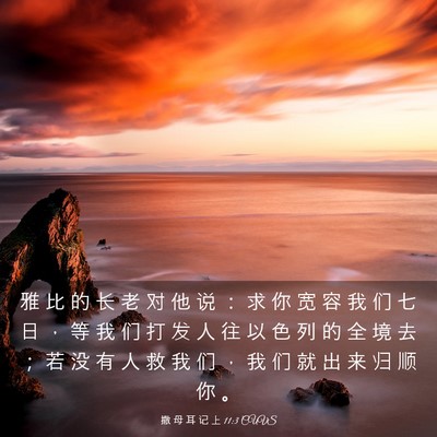 Picture 03 - 撒 母 耳 记 上 11:3 CUVS - 雅 比 的 长 老 对 他 说 ： 求 你 宽 - Bible Verse Picture