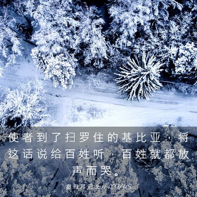 Picture 03 - 撒 母 耳 记 上 11:4 CUVS - 使 者 到 了 扫 罗 住 的 基 比 亚 ， - Bible Verse Picture