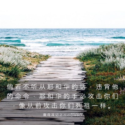 Picture 03 - 撒 母 耳 记 上 12:15 CUVS - 倘 若 不 听 从 耶 和 华 的 话 ， 违 - Bible Verse Picture