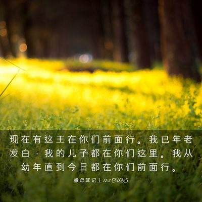 Picture 03 - 撒 母 耳 记 上 12:2 CUVS - 现 在 有 这 王 在 你 们 前 面 行 。 - Bible Verse Picture