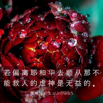 Picture 03 - 撒 母 耳 记 上 12:21 CUVS - 若 偏 离 耶 和 华 去 顺 从 那 不 能 - Bible Verse Picture