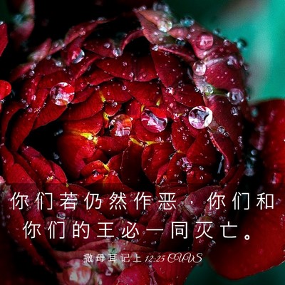 Picture 03 - 撒 母 耳 记 上 12:25 CUVS - 你 们 若 仍 然 作 恶 ， 你 们 和 你 - Bible Verse Picture
