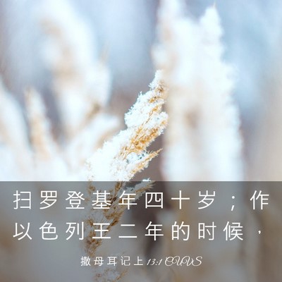 Picture 03 - 撒 母 耳 记 上 13:1 CUVS - 扫 罗 登 基 年 四 十 岁 ； 作 以 色 - Bible Verse Picture