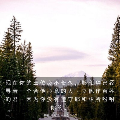 Picture 03 - 撒 母 耳 记 上 13:14 CUVS - 现 在 你 的 王 位 必 不 长 久 。 耶 - Bible Verse Picture