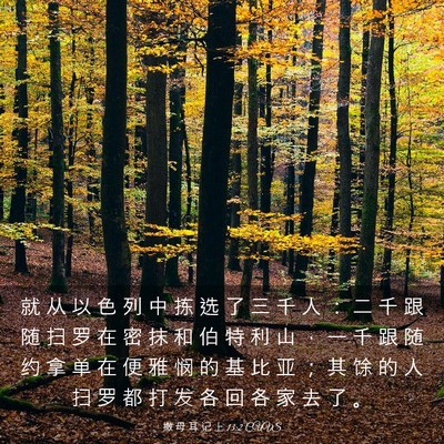 Picture 03 - 撒 母 耳 记 上 13:2 CUVS - 就 从 以 色 列 中 拣 选 了 三 千 人 - Bible Verse Picture
