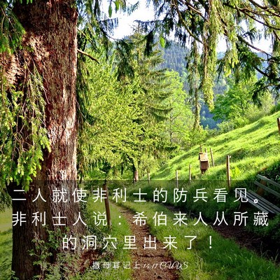 Picture 03 - 撒 母 耳 记 上 14:11 CUVS - 二 人 就 使 非 利 士 的 防 兵 看 见 - Bible Verse Picture