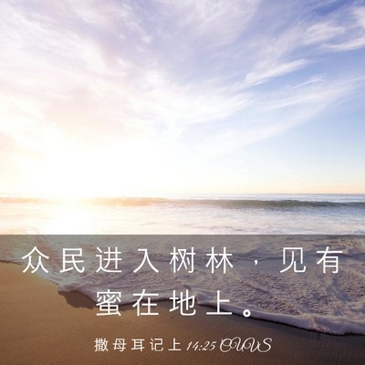 Picture 03 - 撒 母 耳 记 上 14:25 CUVS - 众 民 进 入 树 林 ， 见 有 蜜 在 地 - Bible Verse Picture