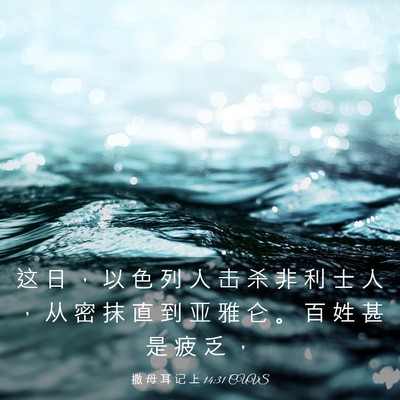 Picture 03 - 撒 母 耳 记 上 14:31 CUVS - 这 日 ， 以 色 列 人 击 杀 非 利 士 - Bible Verse Picture
