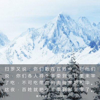Picture 03 - 撒 母 耳 记 上 14:34 CUVS - 扫 罗 又 说 ： 你 们 散 在 百 姓 中 - Bible Verse Picture